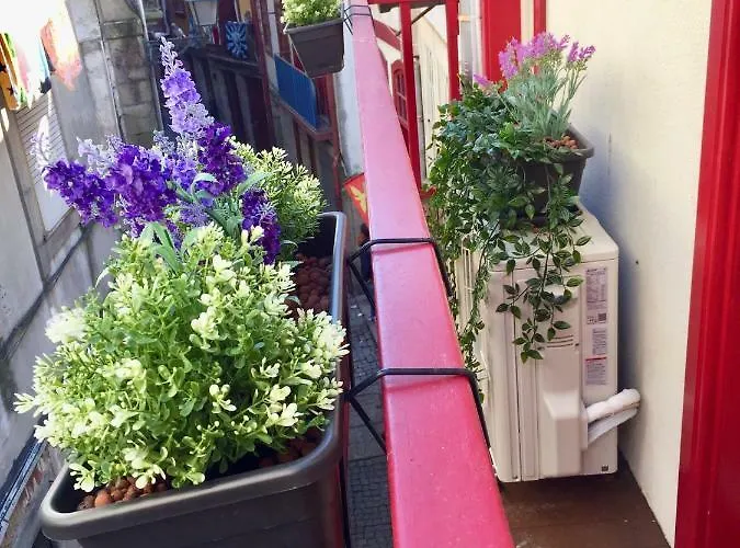 Mouzinho Rooftop View - Map House * Oporto