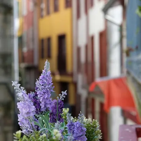 Apartament Mouzinho Rooftop View - Map House *